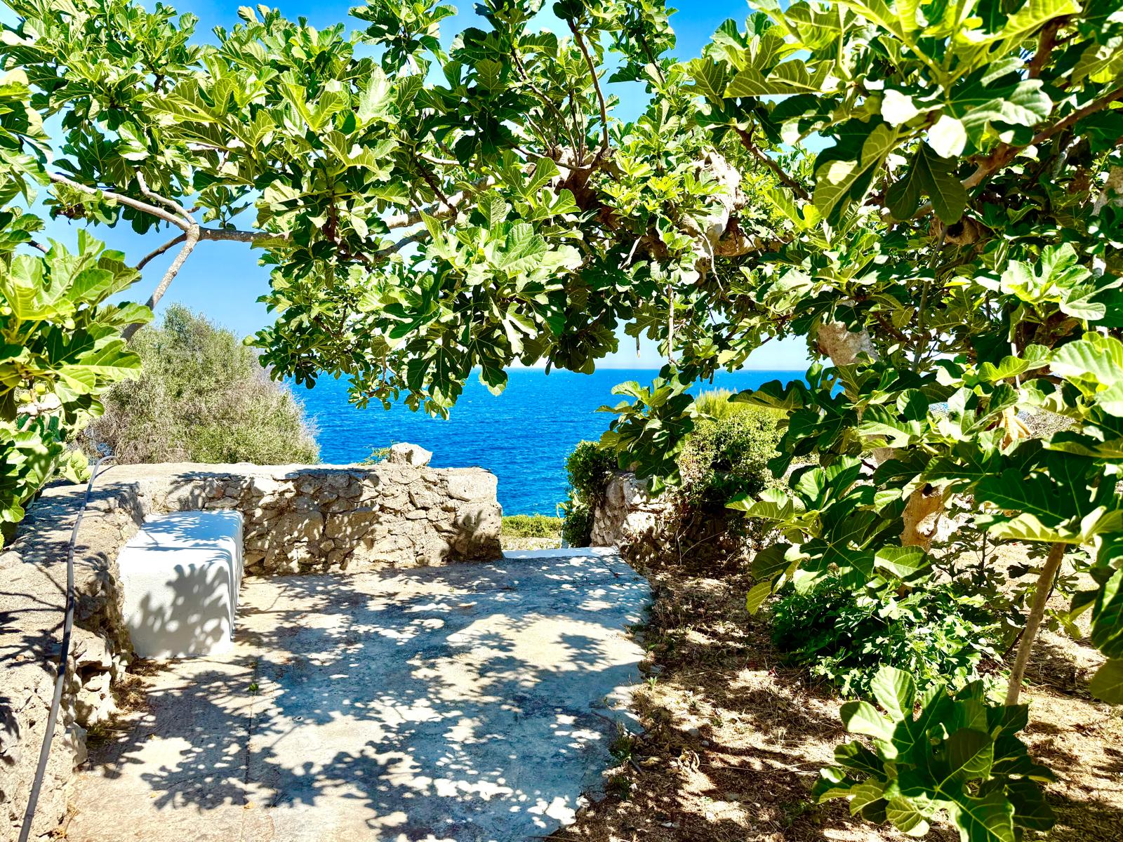 The Paradise - Sea View Terrace